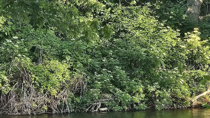 Water Street Park - Belding,