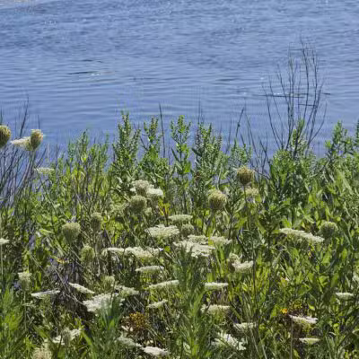 Bayshore Waterfront County Park - Belford, NJ