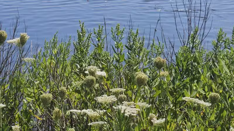Bayshore Waterfront County Park - Belford, NJ