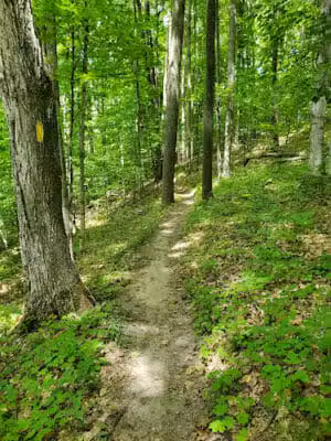 Glacial Hills Hiking & Biking Trails - Bellaire,