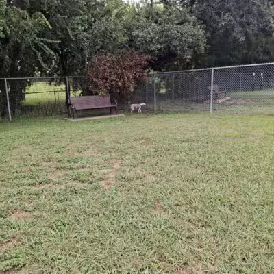 Officer Lucy Dog Park - Bellaire, TX