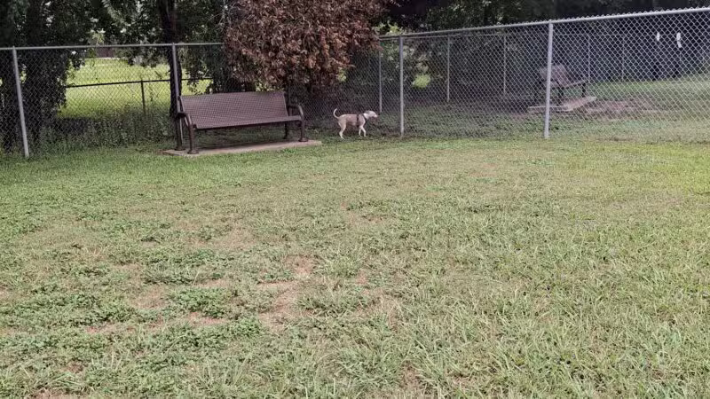 Officer Lucy Dog Park - Bellaire, TX