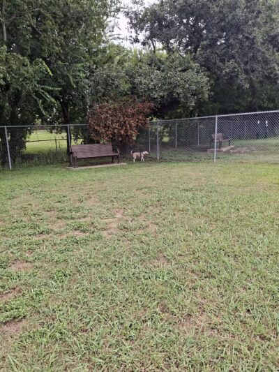 Officer Lucy Dog Park - Bellaire, TX