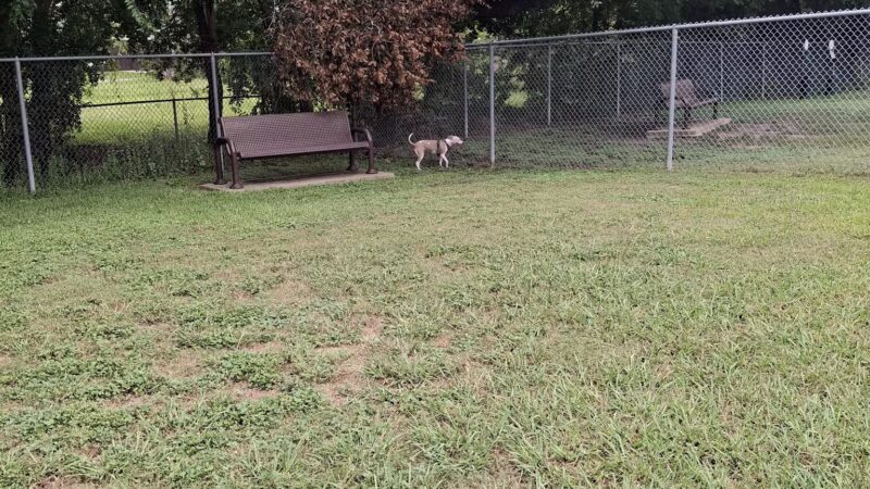 Officer Lucy Dog Park - Bellaire, TX
