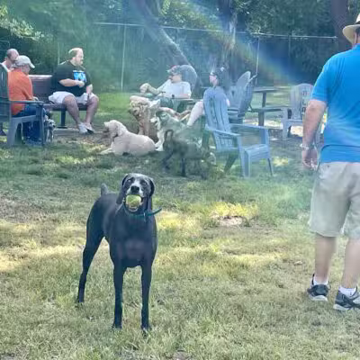 Officer Lucy Dog Park - Bellaire, TX