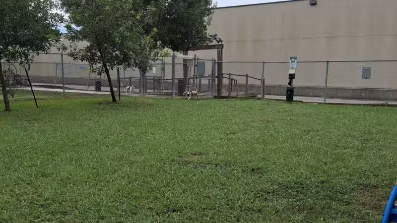 Officer Lucy Dog Park - Bellaire, TX