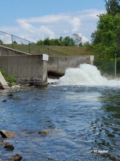 Richardi Park - Bellaire,