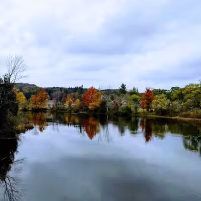 Richardi Park - Bellaire,