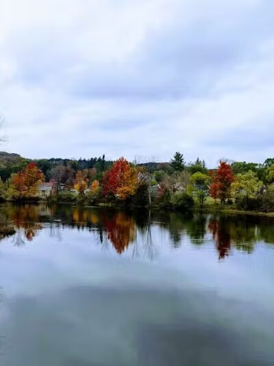 Richardi Park - Bellaire,