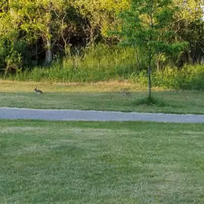 Richardi Park - Bellaire,
