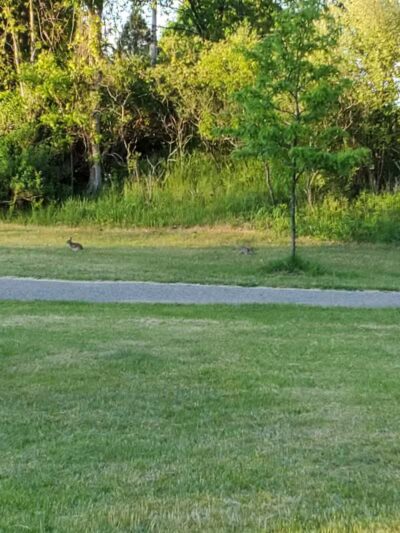 Richardi Park - Bellaire,