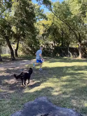Officer Lucy Dog Park - Bellaire, TX