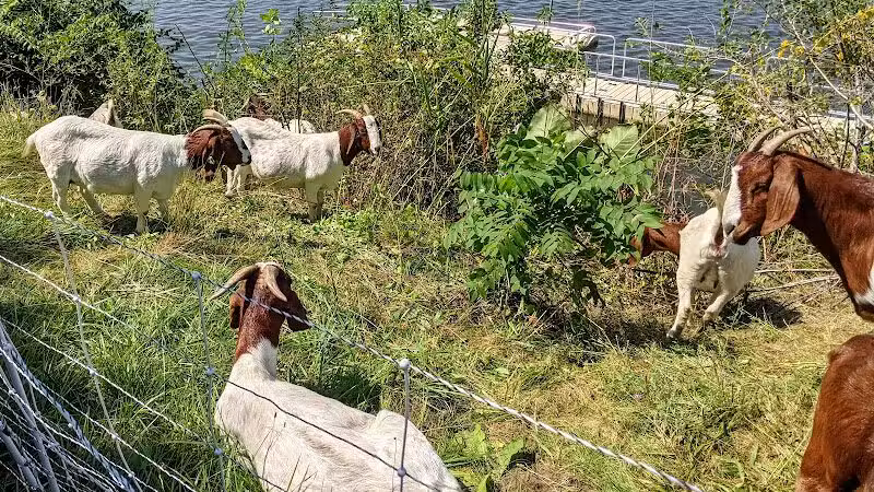 Horizon Park - Belleville,