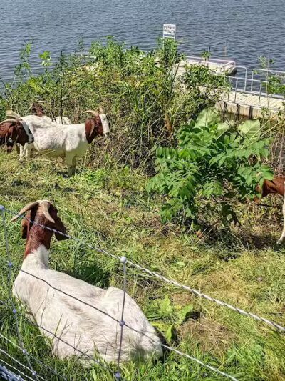 Horizon Park - Belleville,