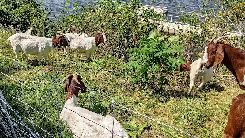 Horizon Park - Belleville,