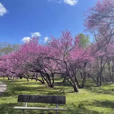 Lower Huron Metropark - Belleville,