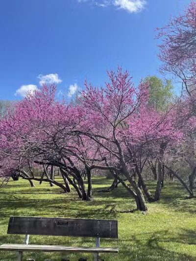 Lower Huron Metropark - Belleville,