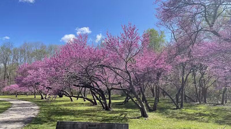 Lower Huron Metropark - Belleville,