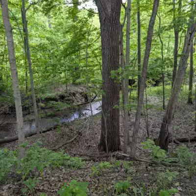 Lower Huron Metropark - Belleville,