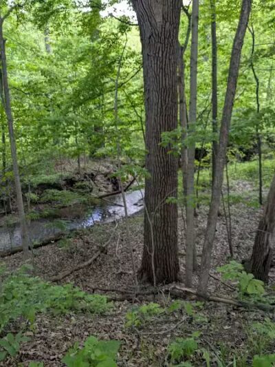 Lower Huron Metropark - Belleville,