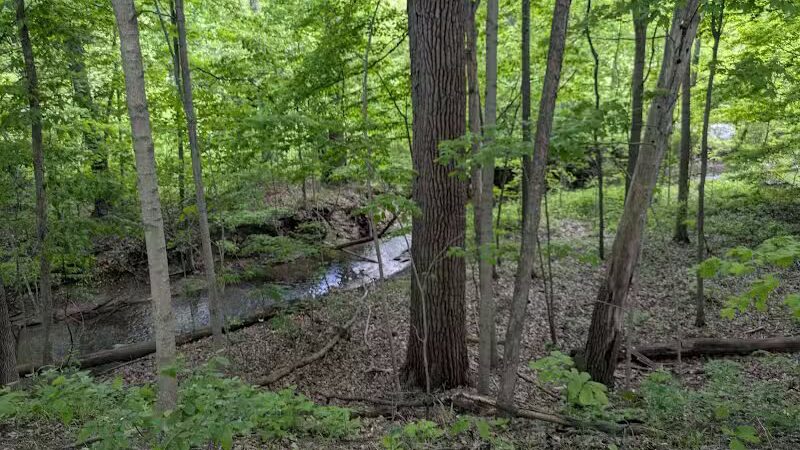 Lower Huron Metropark - Belleville,