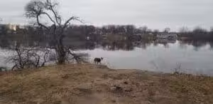 Van Buren Park Beach - Belleville,