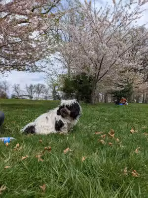 Belleville Park - Belleville, NJ