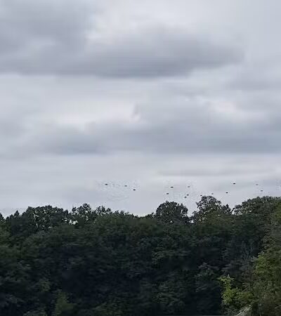 Van Buren Park Beach - Belleville,