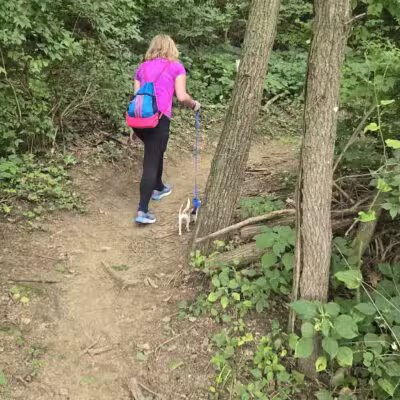 Jewell Dog Park - Bellevue, NE