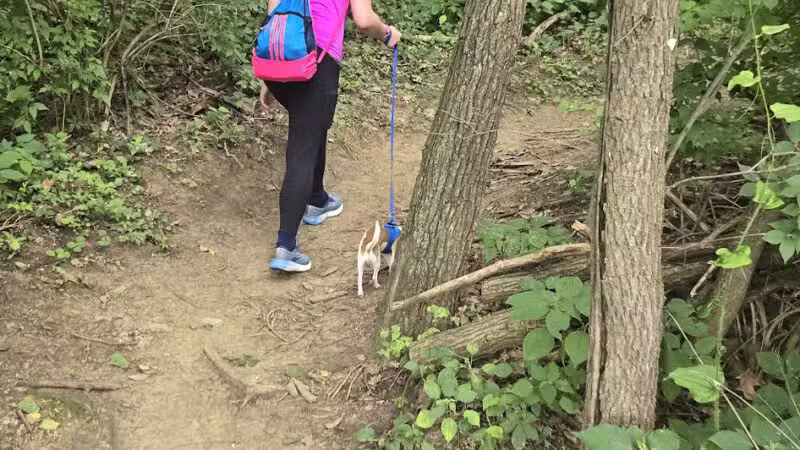 Jewell Dog Park - Bellevue, NE