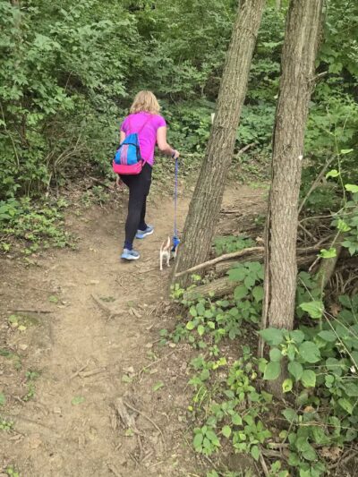 Jewell Dog Park - Bellevue, NE