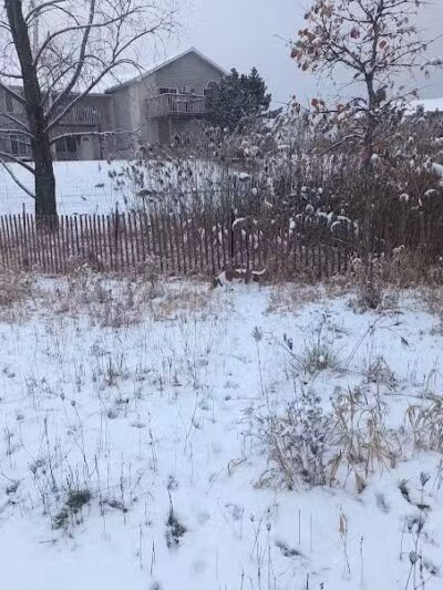 Mossakowski Family Dog Park - Bellevue,