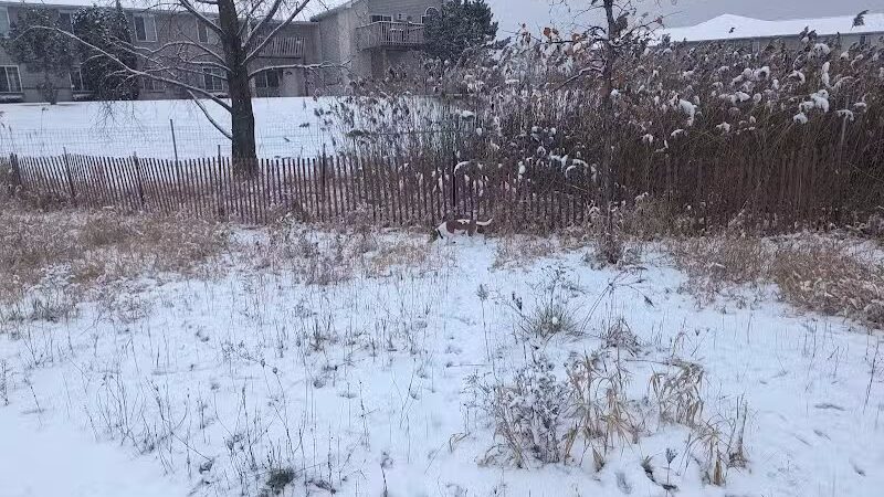 Mossakowski Family Dog Park - Bellevue,