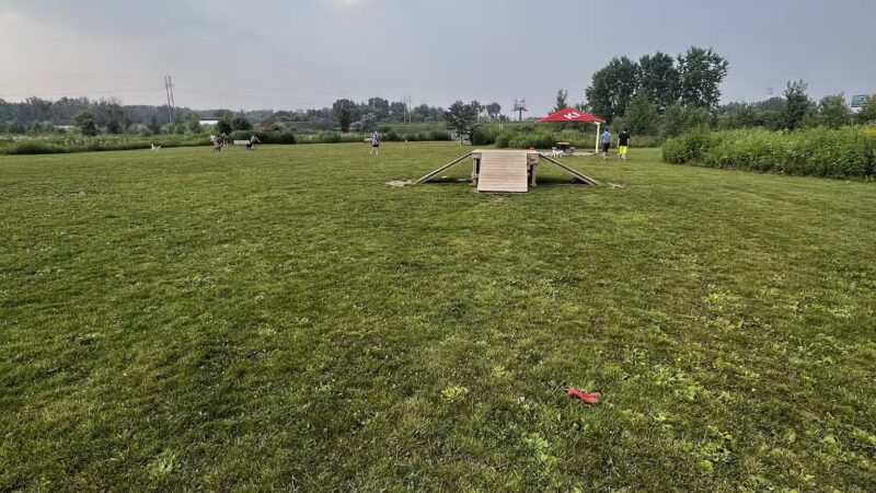 Mossakowski Family Dog Park - Bellevue, WI