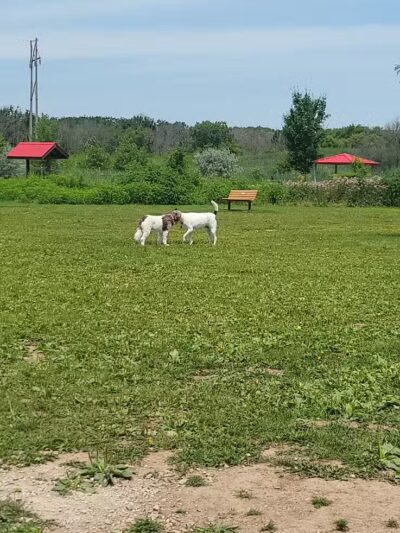 Mossakowski Family Dog Park - Bellevue, WI