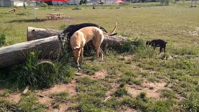 Mossakowski Family Dog Park - Bellevue,