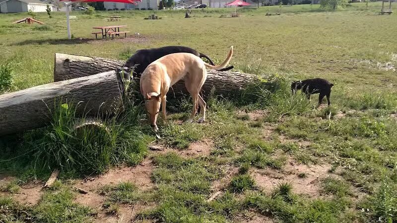 Mossakowski Family Dog Park - Bellevue,
