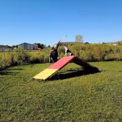 Mossakowski Family Dog Park - Bellevue,