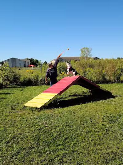 Mossakowski Family Dog Park - Bellevue,