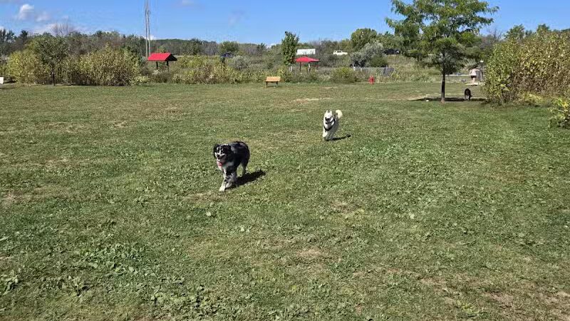 Mossakowski Family Dog Park - Bellevue,