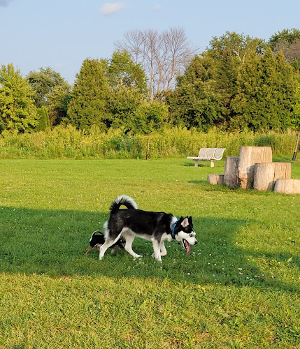 Mossakowski Family Dog Park - Bellevue, WI