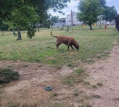 Florence Korostynski Memorial Dog Park - Bellmawr, NJ