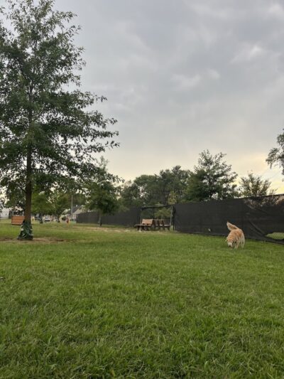 Florence Korostynski Memorial Dog Park - Bellmawr, NJ