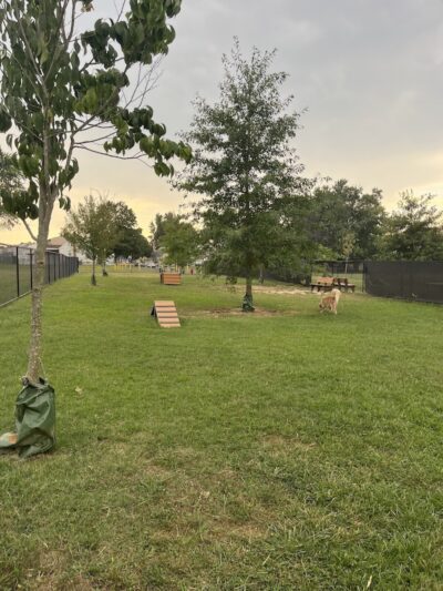 Florence Korostynski Memorial Dog Park - Bellmawr, NJ