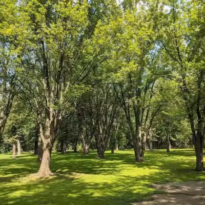 Grand Rogue Park - Belmont, MI