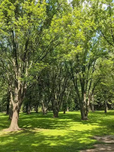Grand Rogue Park - Belmont, MI