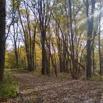 Grand Rogue Park - Belmont, MI