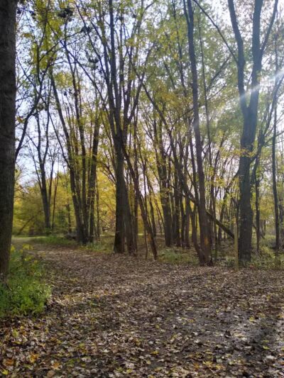 Grand Rogue Park - Belmont, MI