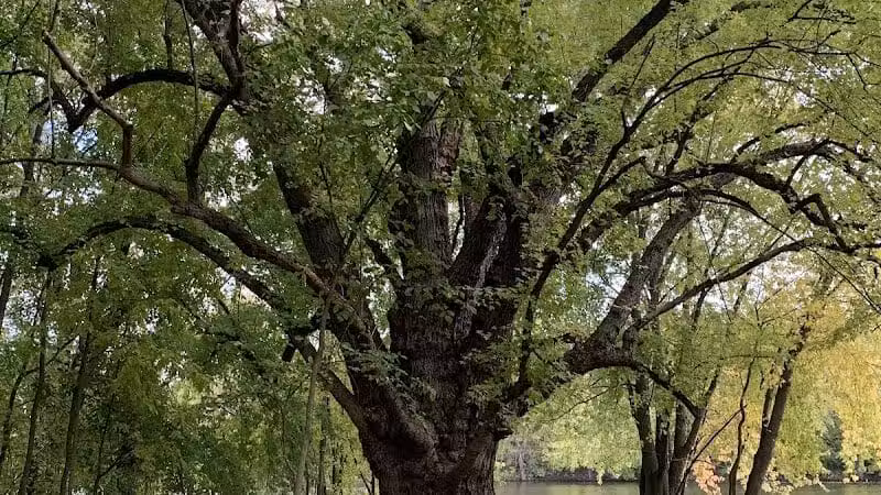 Grand Rogue Park - Belmont, MI