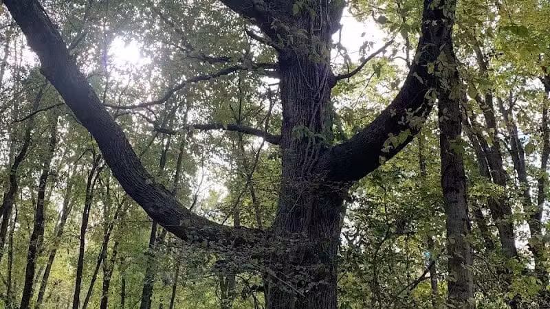 Grand Rogue Park - Belmont, MI